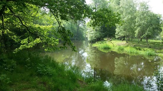 Zlatá stoka - Lužnice